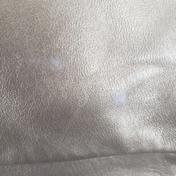 Coach Ashley Steel Metallic Elegant Leather Crossbody Shoulder Bag Sz Large - Picture 15 of 15